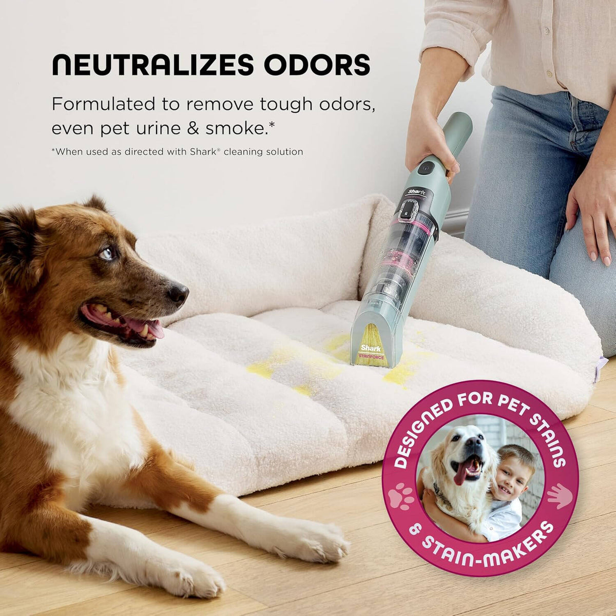 Shark StainForce Cordless Stain, Odor & Urine Remover, Portable Handheld Carpet & Upholstery Cleaner with 2 Tools, Powerful Suction, Dual-Action OXY Formula & Caddy, Sage Green | HX101